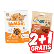 Iams of Good Boy