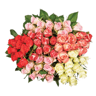 Rozen