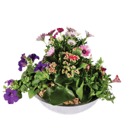 Arrangement Met Perkgoed In Zink