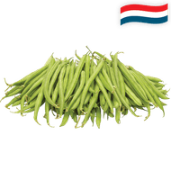 Hollandse Sperziebonen