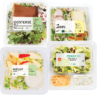 Groene Salades of Saladeschotels