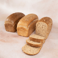Tarpan of Hollander Brood