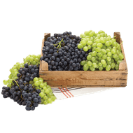 Italiaanse Tafel Druiven 