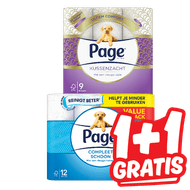 Page Toiletpapier