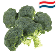 Hollandse Broccoli