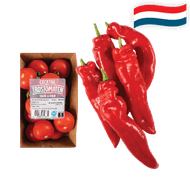 Hollandse Cocktail Trostomaten of Rode Zoete Puntpaprika