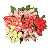 Rozen
