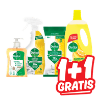 Dettol Reiniger of Handzeep
