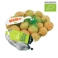 Bio Knoflook of Bio+ Hollandse Uien