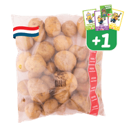 Hollandse Kruimige Aardappelen