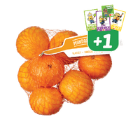 Mandarijnen