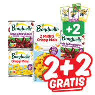 Bonduelle groente