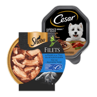 Sheba filets in saus of Cesar