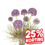 Alliums