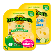 Leerdammer kaasplakken