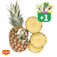 Del Monte Honeyglow Ananas