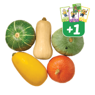 Pompoenen