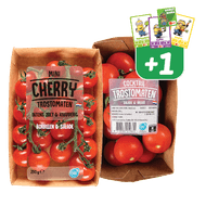 Mini Cherry Trostomaten of Cocktail Trostomaten