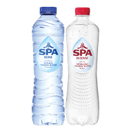 Spa Reine of Intense
