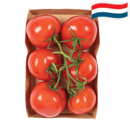 Hollandse Trostomaten