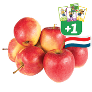 Hollandse Elstar Appelen