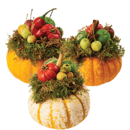 Arrangement Pompoen