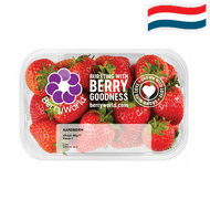 Hollandse Aardbeien