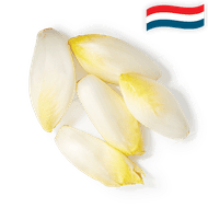Hollandse Witlof