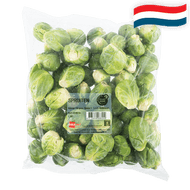 Hollandse Spruiten