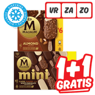 Magnum Handijs