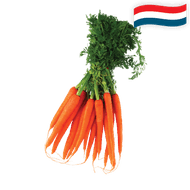 Hollandse Bospeen