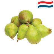 Hollandse Doyenne Du Comice Peren