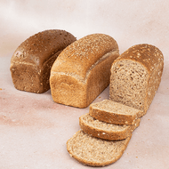 DekaVers Hollander of Tarpan Brood