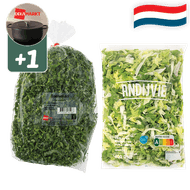 Hollandse Boerenkool of Andijvie Grof