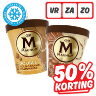 Magnum Ijs