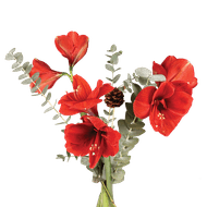 Boeket Amaryllis