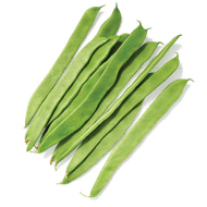 Snijbonen