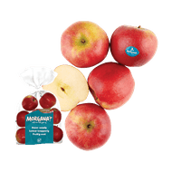 Hollandse Morgana Appelen