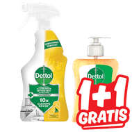 Dettol Reiniger of Handzeep