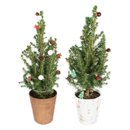 Kerstboom Versierd Met Led