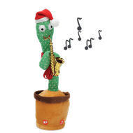 Dansende Kerst Cactus