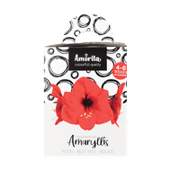 Amaryllis Cadeaubox