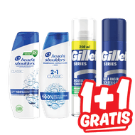 Head & Shoulders of Gillette