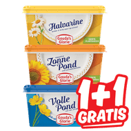 Gouda's Glorie