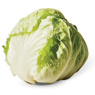 Hollandse Ijsbergsla