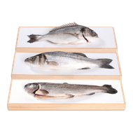 Hele forel, zeebaars of dorade