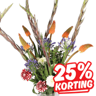 Zomerbloeiers
