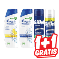 Head & Shoulders  of Gillette