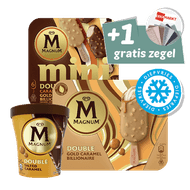 Magnum Ijs