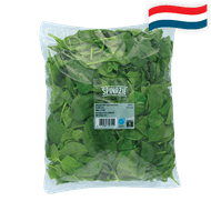 Hollandse Spinazie